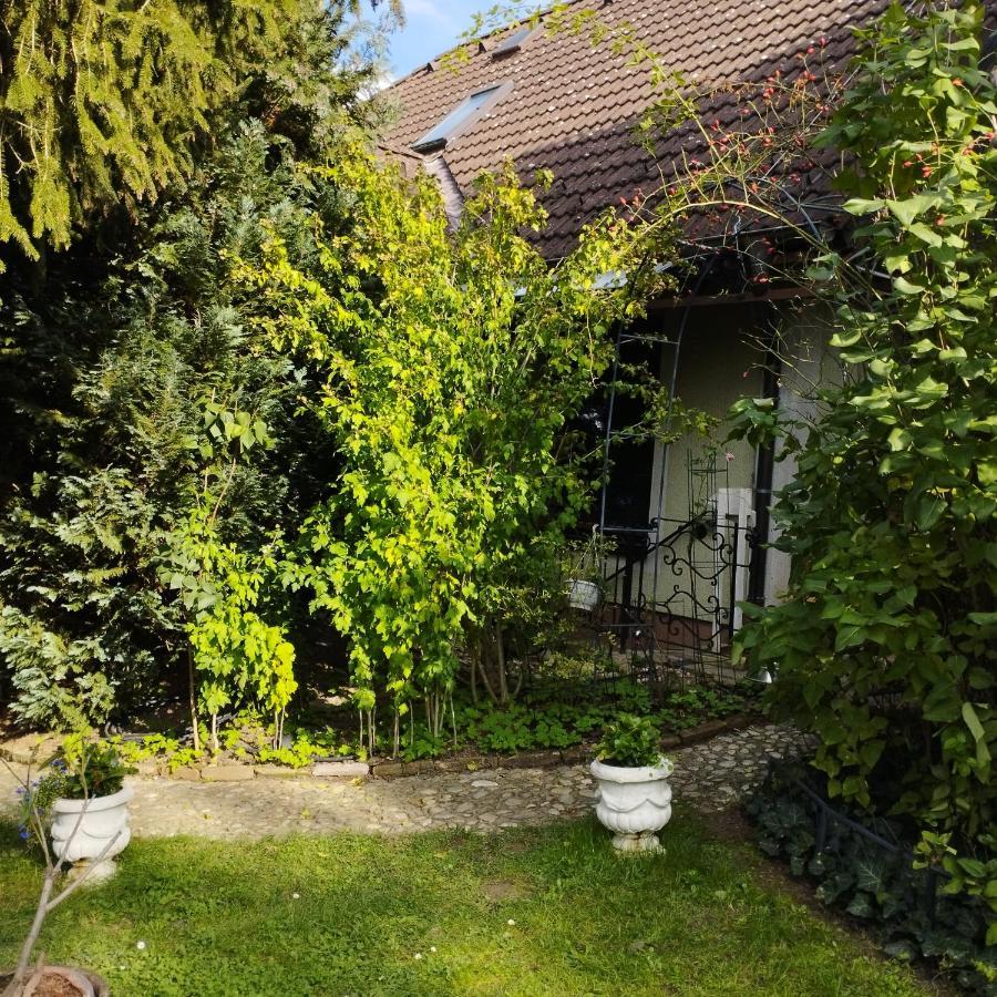 B&B Family Basement Apartment, Breakfast, Free Parking, 5Km From Tulln Chorherrn Екстериор снимка